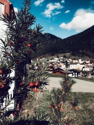 Hotel Daneu Gaschurn Bagian luar foto